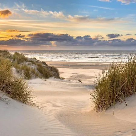 Lila Aan Zee - Recreatiepark De Watersnip *